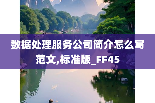 数据处理服务公司简介怎么写范文,标准版_FF45