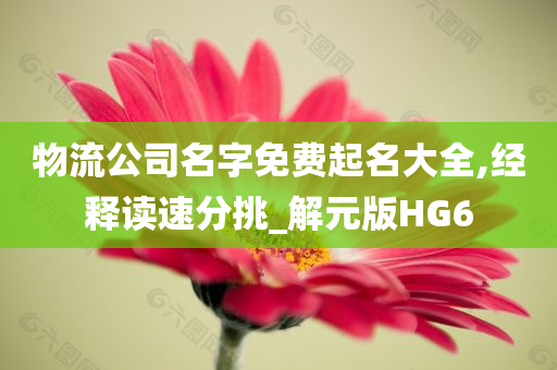 物流公司名字免费起名大全,经释读速分挑_解元版HG6