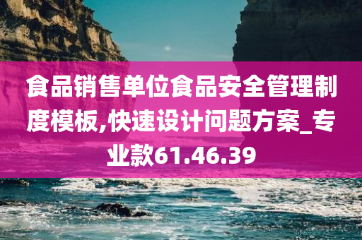 食品销售单位食品安全管理制度模板,快速设计问题方案_专业款61.46.39