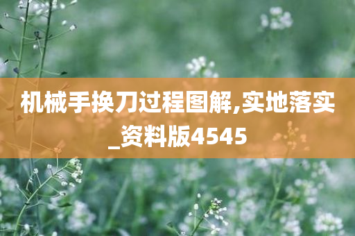 机械手换刀过程图解,实地落实_资料版4545