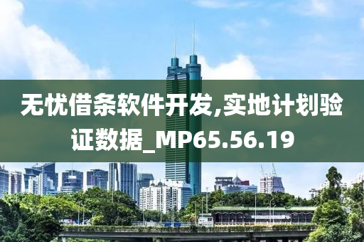 无忧借条软件开发,实地计划验证数据_MP65.56.19