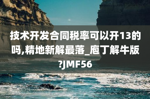 技术开发合同税率可以开13的吗,精地新解最落_庖丁解牛版?JMF56