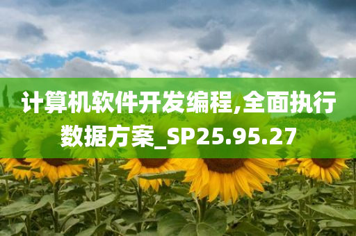 计算机软件开发编程,全面执行数据方案_SP25.95.27