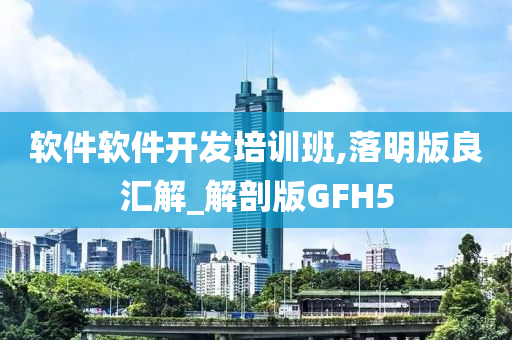 软件软件开发培训班,落明版良汇解_解剖版GFH5