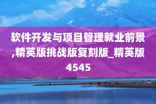 软件开发与项目管理就业前景,精英版挑战版复刻版_精英版4545