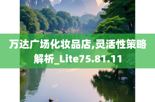 万达广场化妆品店,灵活性策略解析_Lite75.81.11