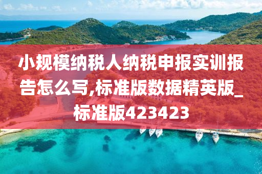 小规模纳税人纳税申报实训报告怎么写,标准版数据精英版_标准版423423