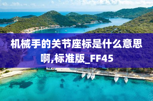 机械手的关节座标是什么意思啊,标准版_FF45