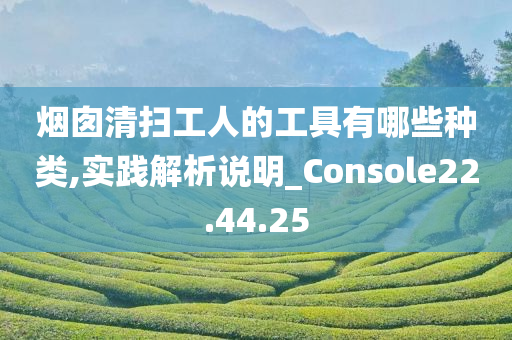 烟囱清扫工人的工具有哪些种类,实践解析说明_Console22.44.25