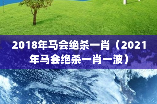 2018年马会绝杀一肖（2021年马会绝杀一肖一波）