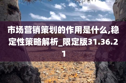 市场营销策划的作用是什么,稳定性策略解析_限定版31.36.21