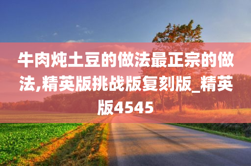 牛肉炖土豆的做法最正宗的做法,精英版挑战版复刻版_精英版4545