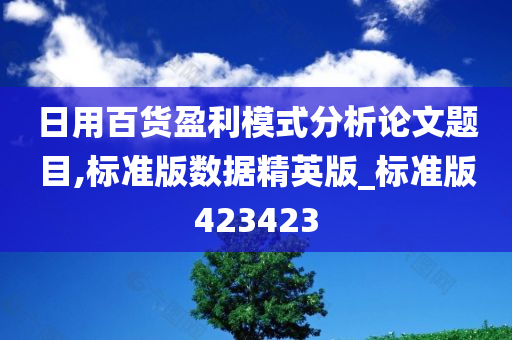 日用百货盈利模式分析论文题目,标准版数据精英版_标准版423423