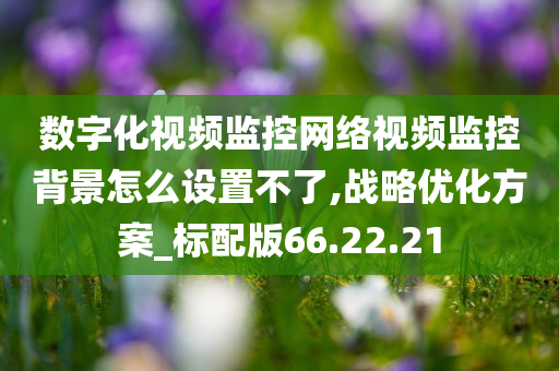 数字化视频监控网络视频监控背景怎么设置不了,战略优化方案_标配版66.22.21