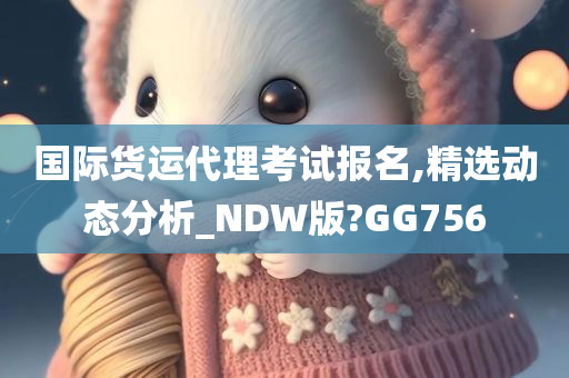 国际货运代理考试报名,精选动态分析_NDW版?GG756