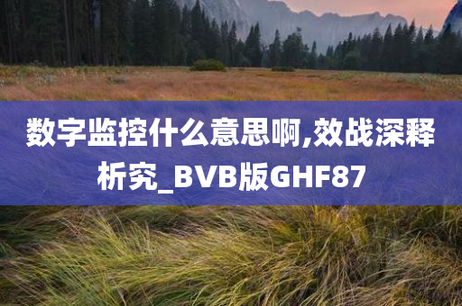 数字监控什么意思啊,效战深释析究_BVB版GHF87