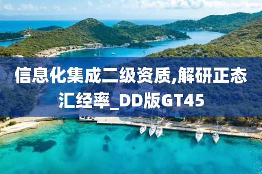 信息化集成二级资质,解研正态汇经率_DD版GT45