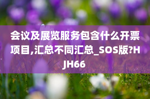 会议及展览服务包含什么开票项目,汇总不同汇总_SOS版?HJH66