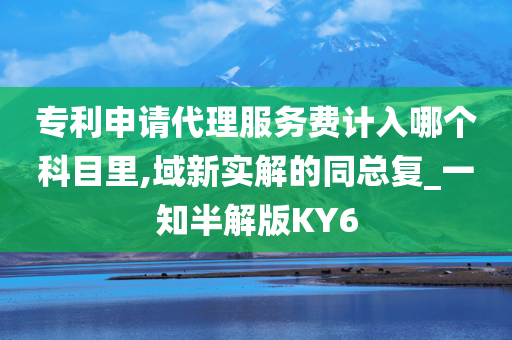 专利申请代理服务费计入哪个科目里,域新实解的同总复_一知半解版KY6