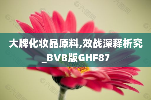 大牌化妆品原料,效战深释析究_BVB版GHF87