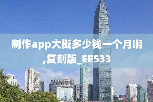 制作app大概多少钱一个月啊,复刻版_EE533