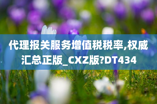 代理报关服务增值税税率,权威汇总正版_CXZ版?DT434