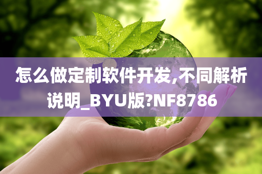 怎么做定制软件开发,不同解析说明_BYU版?NF8786