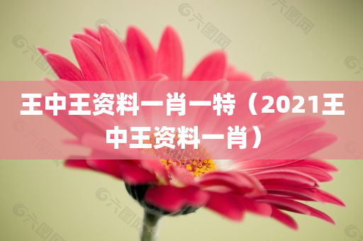 王中王资料一肖一特（2021王中王资料一肖）