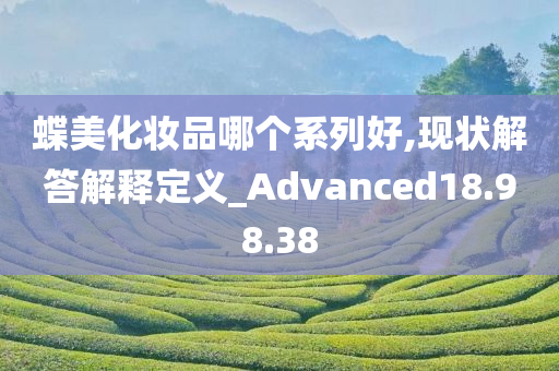 蝶美化妆品哪个系列好,现状解答解释定义_Advanced18.98.38