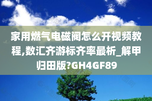 家用燃气电磁阀怎么开视频教程,数汇齐游标齐率最析_解甲归田版?GH4GF89