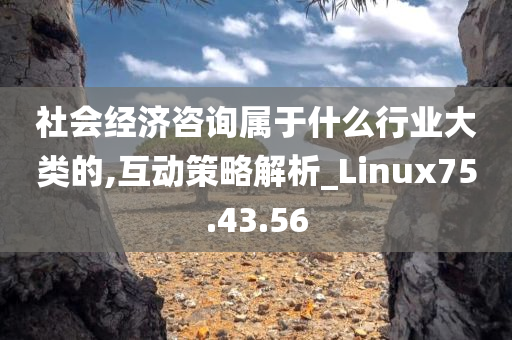 社会经济咨询属于什么行业大类的,互动策略解析_Linux75.43.56