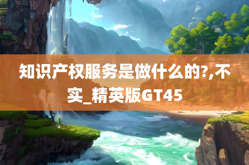 知识产权服务是做什么的?,不实_精英版GT45