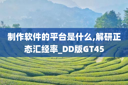 制作软件的平台是什么,解研正态汇经率_DD版GT45