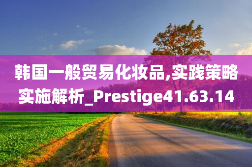 韩国一般贸易化妆品,实践策略实施解析_Prestige41.63.14