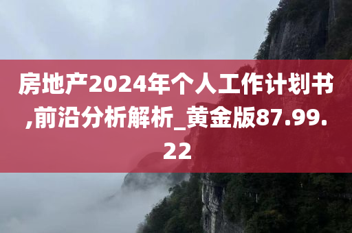 房地产2024年个人工作计划书,前沿分析解析_黄金版87.99.22