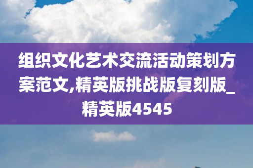 组织文化艺术交流活动策划方案范文,精英版挑战版复刻版_精英版4545