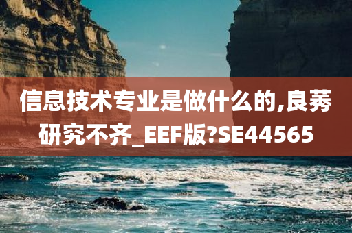 信息技术专业是做什么的,良莠研究不齐_EEF版?SE44565