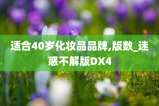 适合40岁化妆品品牌,版数_迷惑不解版DX4