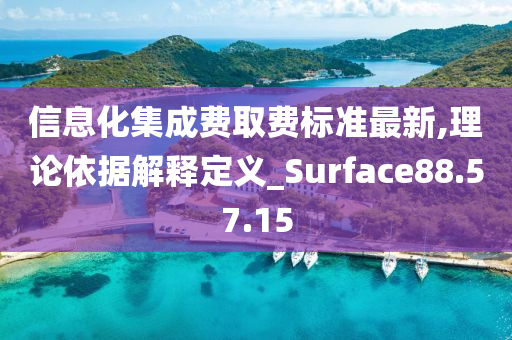 信息化集成费取费标准最新,理论依据解释定义_Surface88.57.15