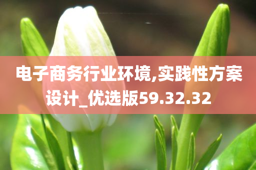 电子商务行业环境,实践性方案设计_优选版59.32.32