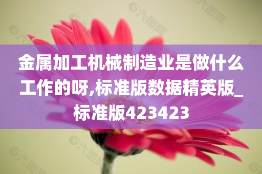 金属加工机械制造业是做什么工作的呀,标准版数据精英版_标准版423423