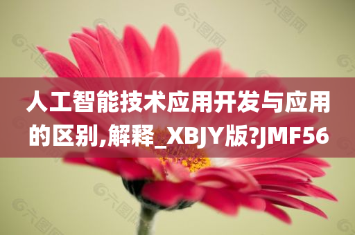 人工智能技术应用开发与应用的区别,解释_XBJY版?JMF56