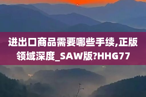 进出口商品需要哪些手续,正版领域深度_SAW版?HHG77