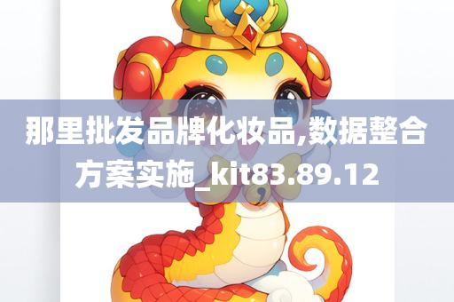 那里批发品牌化妆品,数据整合方案实施_kit83.89.12