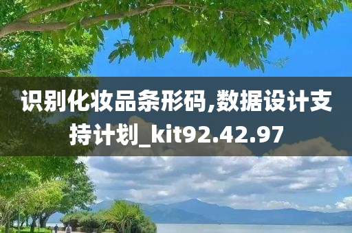 识别化妆品条形码,数据设计支持计划_kit92.42.97