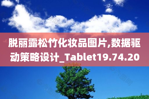 脱丽露松竹化妆品图片,数据驱动策略设计_Tablet19.74.20