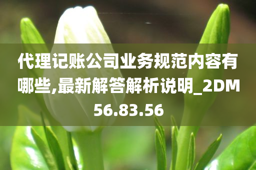 代理记账公司业务规范内容有哪些,最新解答解析说明_2DM56.83.56