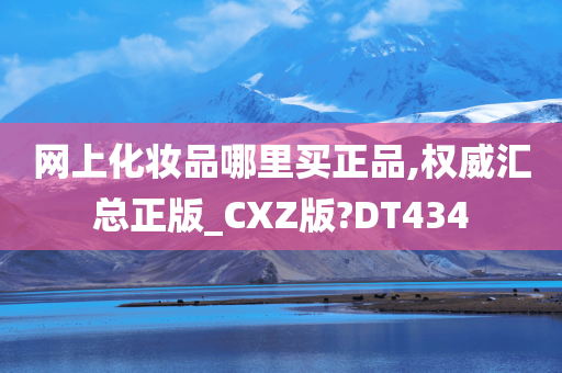 网上化妆品哪里买正品,权威汇总正版_CXZ版?DT434