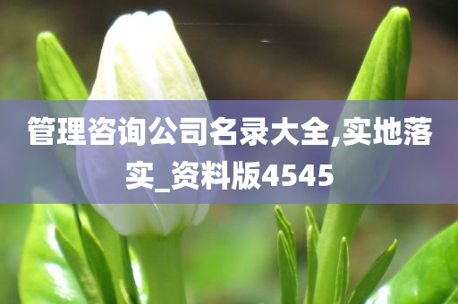 管理咨询公司名录大全,实地落实_资料版4545