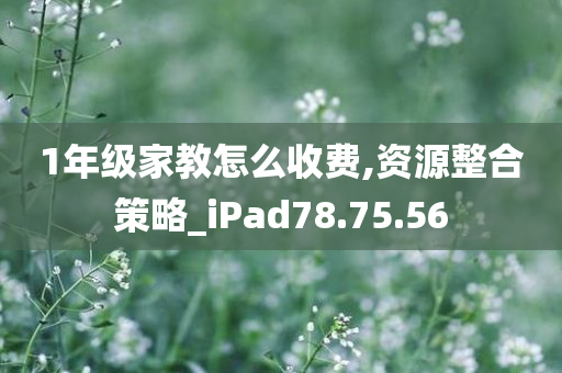 1年级家教怎么收费,资源整合策略_iPad78.75.56